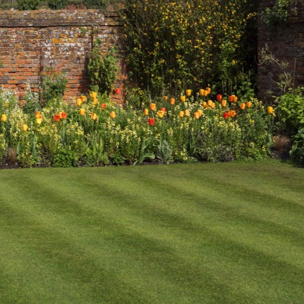 profesionally cut lawn for landlord customer