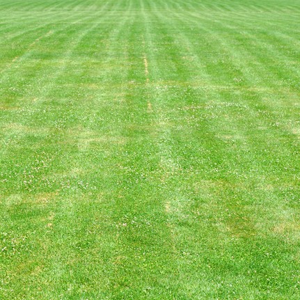 striped and cut lawn